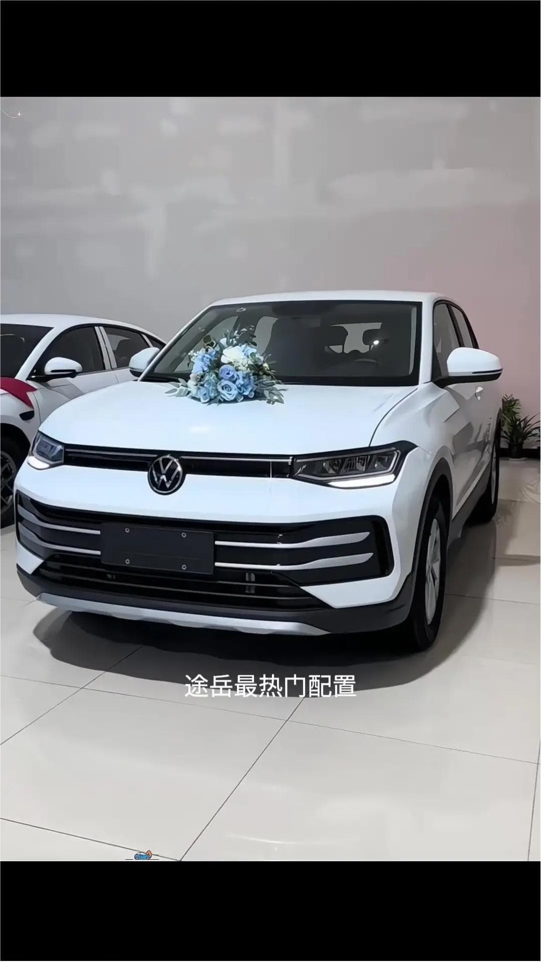 2026款 大众 途岳 新锐1.5L 锐意版 10