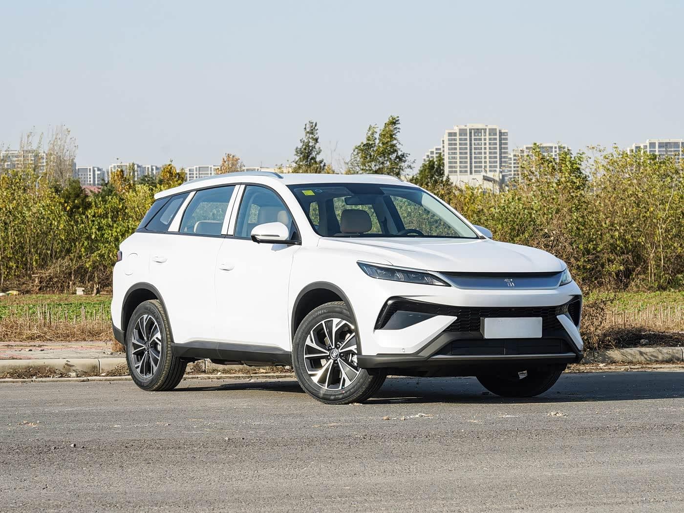2026款 比亚迪 宋PRO DM-i 133KM 进取型 12