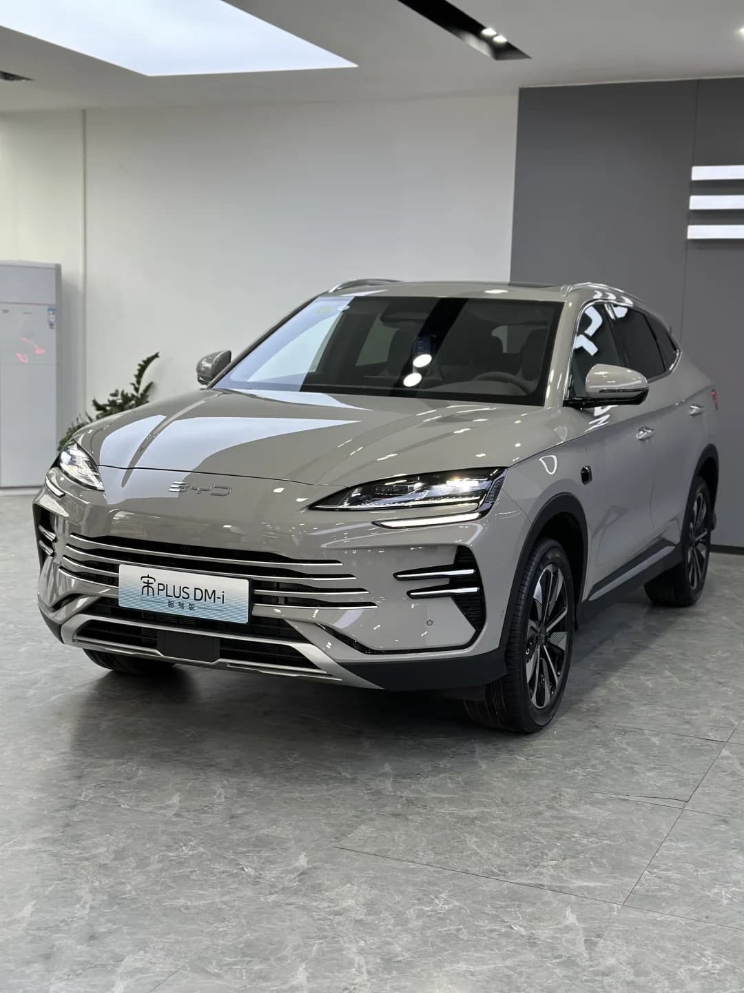 2025款 比亚迪 宋PLUS DM-i 智驾版 112KM 尊贵型 10