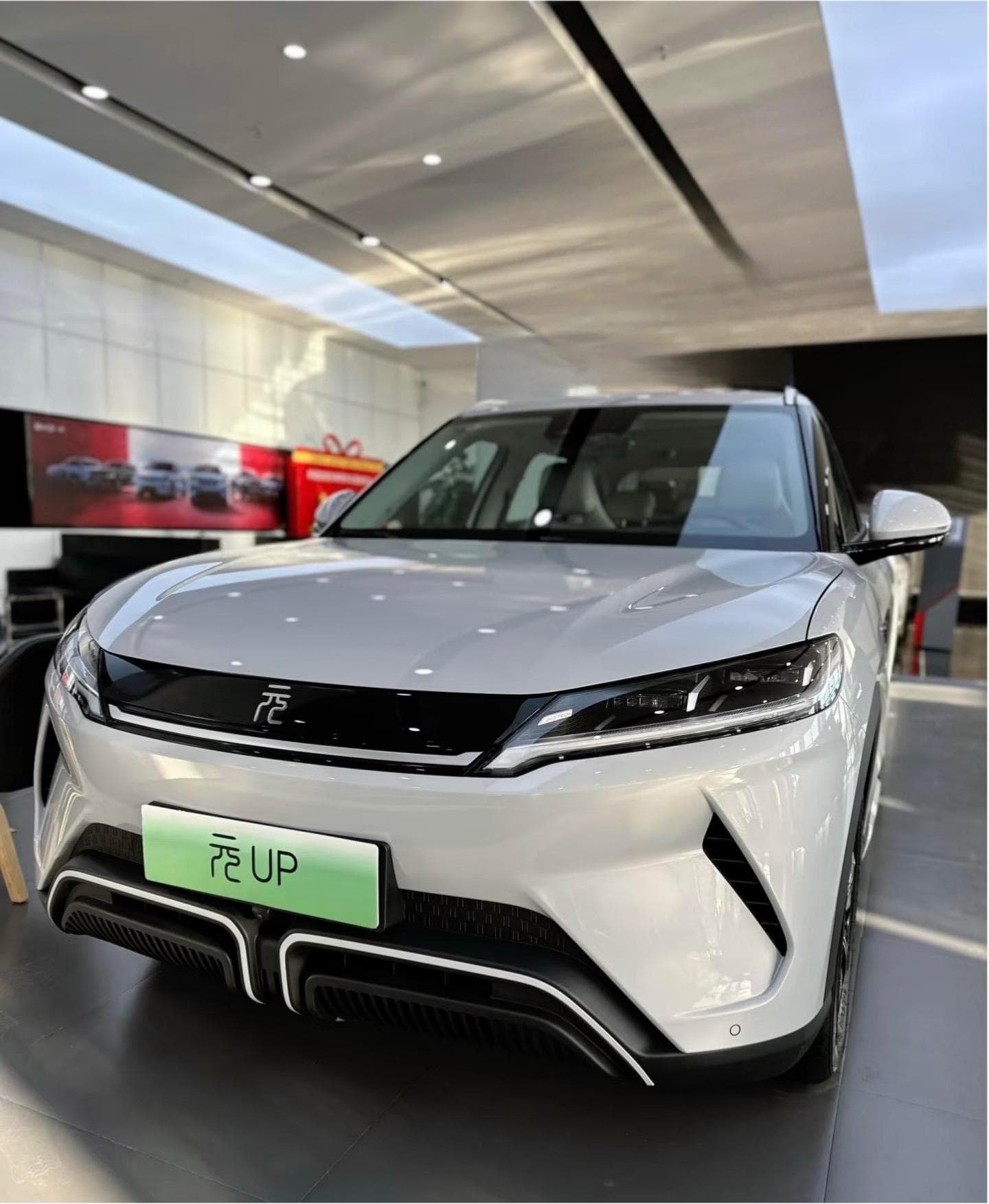 2025款 比亚迪 元UP 301KM 领航型 3