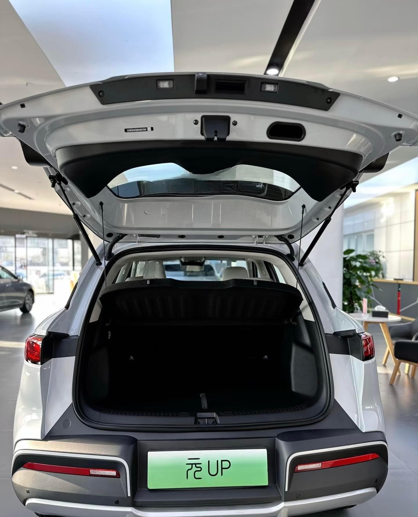 2025款 比亚迪 元UP 301KM 领航型 9