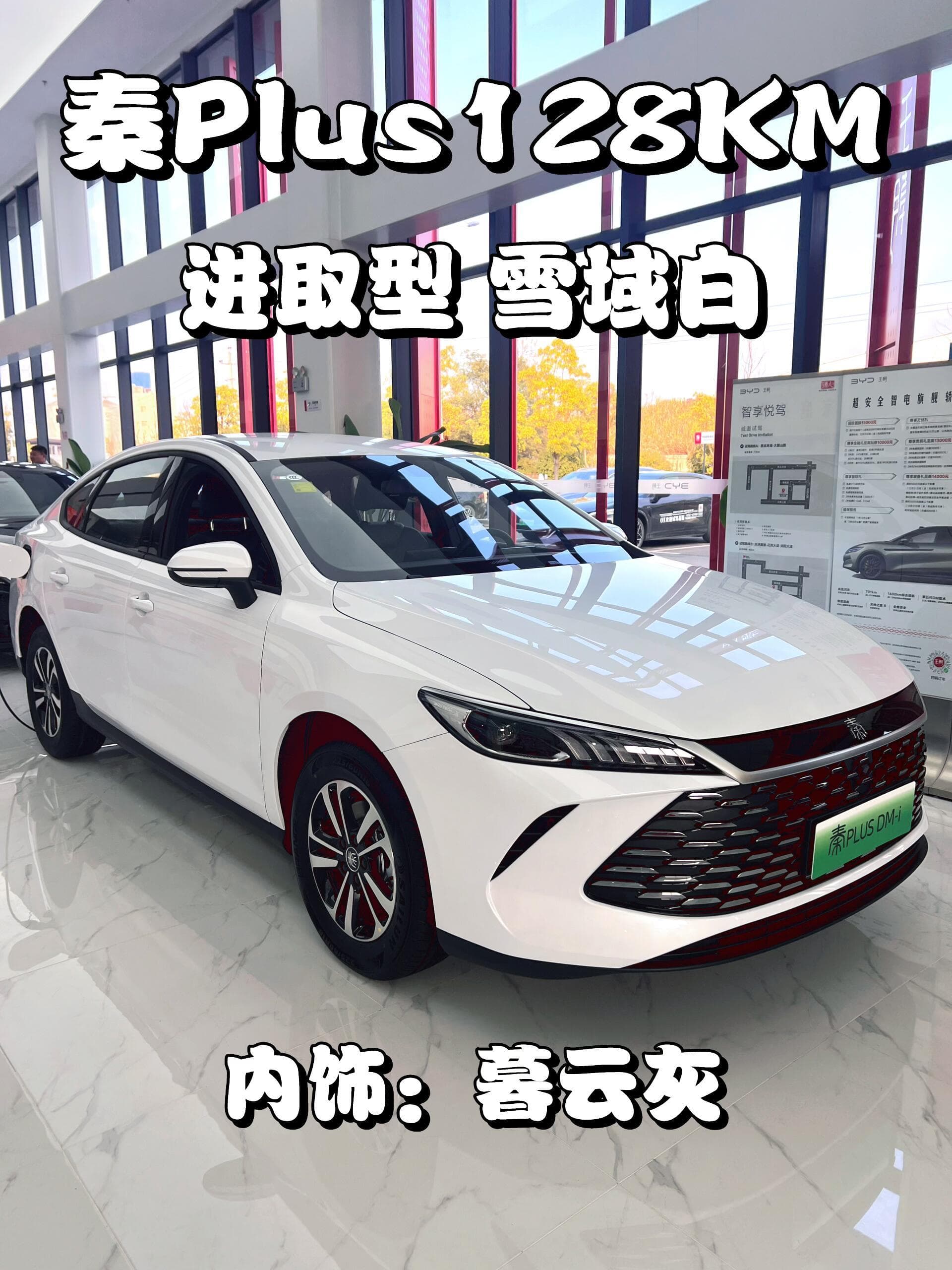 2026款 比亚迪 秦PLUS DM-i 128KM 进取型 10